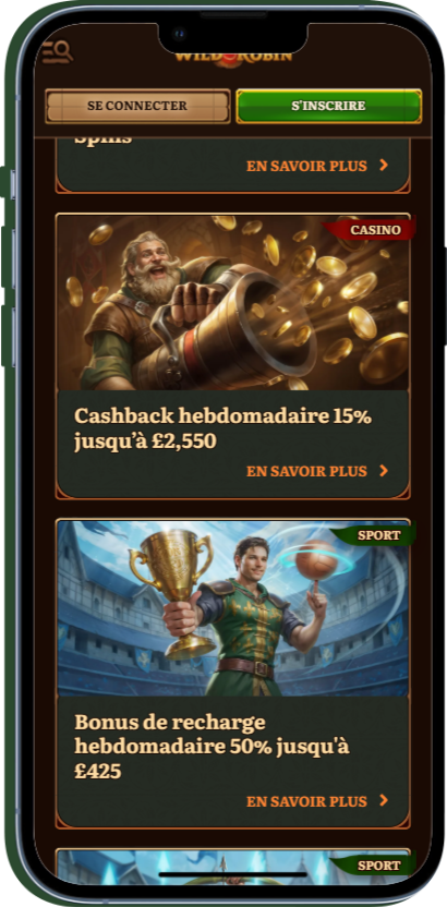 Bonus Cashback sur Wild Robin Casino